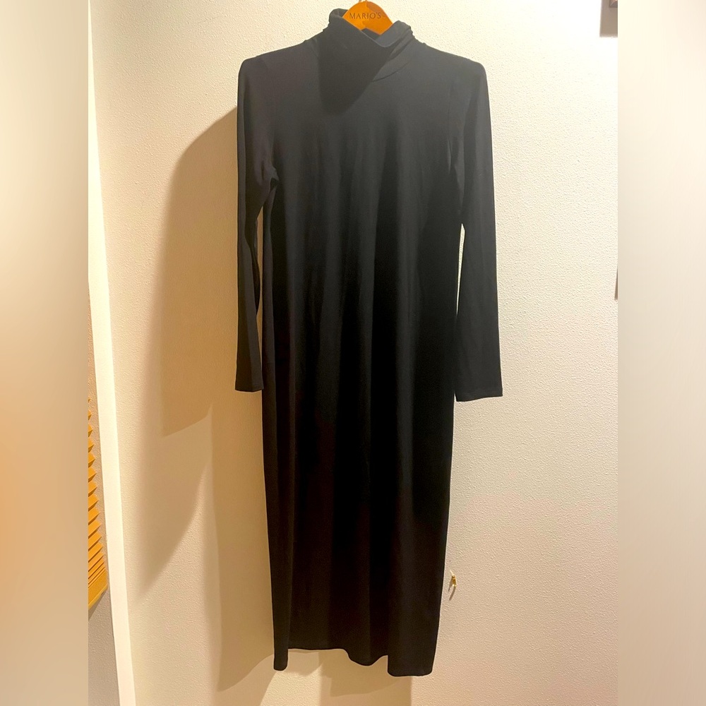 Eileen Fisher turtleneck dress